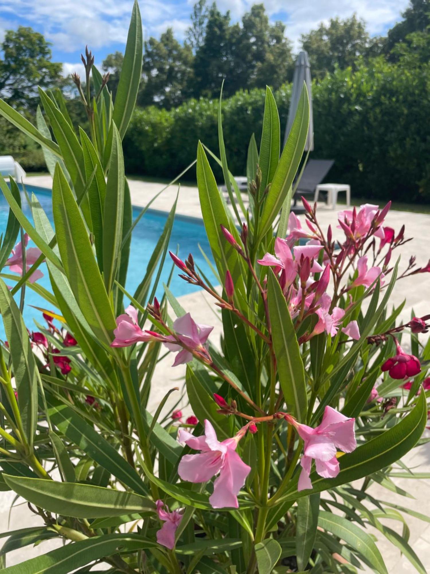 La Grange Du Barry Bed & Breakfast Belveze ภายนอก รูปภาพ
